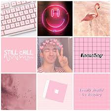 We have an extensive collection of amazing background images carefully chosen by our. Page 7 Hd Flamingos Wallpapers Peakpx