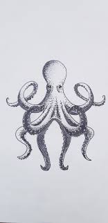 Изучайте релизы oktopus на discogs. Oktopus Zeichnung Zeichnung Oktopus Tiere Zeichnen