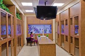 The barkley pet hotel and day camp is northeast ohio's #1 pet care destination for dogs and cats. The Barkley Pet Hotel Day Spa Pet Boarding And Daycare Magazine