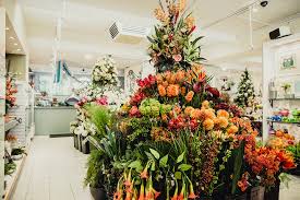 Check spelling or type a new query. Silk Flower Shops Near Me Online Discount Shop For Electronics Apparel Toys Books Games Computers Shoes Jewelry Watches Baby Products Sports Outdoors Office Products Bed Bath Furniture Tools Hardware