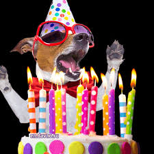 Happy Birthday Images Funny For Him Gif Https Encrypted Tbn0 Gstatic Com Images Q Tbn 3aand9gctilgyxk5dxgrezyjmlma4gdiie5a92idpi4g Usqp Cau