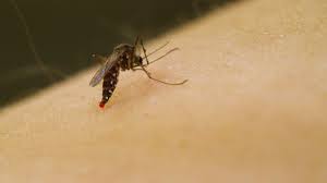 Some ultrasonic pest repellers target specific types of pests such as spiders, cockroaches, or mosquitoes, while others target larger pests like rodents. 5 Types Of Insect Repellent To Skip Consumer Reports