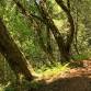 Library Nature Hike - Sam McDonald Park
