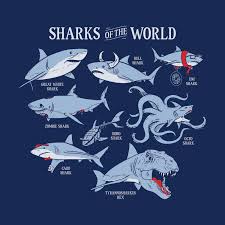 sharks of the world t shirt snorgtees