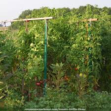 You can use the twine alone on the trellis or use it with tomato clips. 5 Terrific Tomato Trellis Ideas For Easy Harvesting