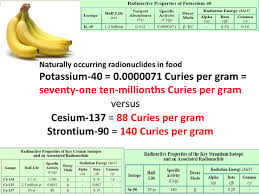 Steven Starr Implications Of Radioactive Cesium