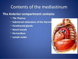 The region of the thorax bounded by the lungs, which includes the heart and regional. Mediastinal Syndrome