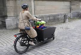 Kleinstadt Hallo Velo Cargo Anhanger Oder Sitzli