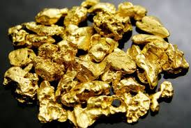 Where the surface of the bedrock is highly irregular, the distribution of gold will be spotty, but a natural rifflelike surface favors accumulation. Pin Op Stuff