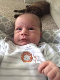 Meet Julie Hostetler! Since...