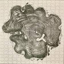 Woodcut: Three Puzzles (3 of 3), Bryan Nash Gill, Princeton Architectural  Press, 300 pcs, 2021 : r/Jigsawpuzzles
