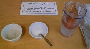 sink or float  inventors of tomorrow