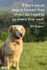 If There Are Dogs In Heaven Then When I Die I Want To Go Where They Went News About Wonderful Dogs In All Parts Of Dog Quotes Love Dog Heaven Best