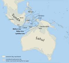 See how to bring someone into australia to work for you. Prehistoric Indonesia Wikipedia