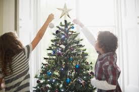 Check spelling or type a new query. Here S How To Reuse And Recycle Your Christmas Tree After The Holidays