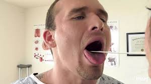 Isaac And Andrea Porn Videos: Best XXX 2025 | xHamster