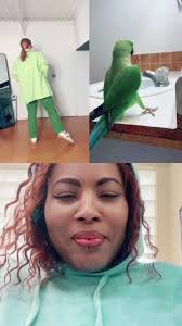 Bird Pretends to Be Grass