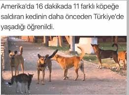 Iste Bu Herseyi Acikliyor Komik Mizah Komik Seyler