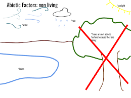Abiotic Component Wikipedia