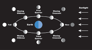 How Long Does Each Phase Of The Moon Last