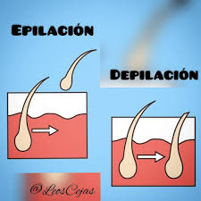 Leoscejas Conoces La Diferencia Entre Depilacion Y Epilacion Comentanos Aqui Depilacion Epilacion Epilaciondecejas Cejasvenezuela Cejasypestanas Cejassemipermanentes Maquillajepermanente Microblading Micropigmentacion Facebook