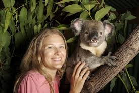 Our latest donations were to koala hospital port macquarie, fauna rescue sa, mallacoota wildlife shelter and the wildlife preservation society of qld. Cairns Attractions Where To Cuddle A Koala In Cairns
