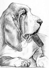 Basset Hound Beagle Mix Black And White Pin By Laura Smith On Basset Hounds Basset Hound Art Basset Hound Dog Drawing