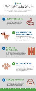 If you are willing to take the time to teach your pup, then teaching your dog to understand the fence, may take a few hours or a couple of days. Training Dog For Invisible Fence Tips Electric Fence For Dogs Training Help