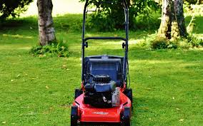 Oil For Your Push Lawn Mower Push Lawn Mower Mulching Lawn Mower Lawn Mower