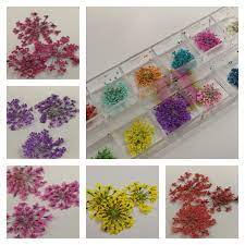 Check spelling or type a new query. Tiny Dried Flowers In Different Colours 36 In Tidy Case For Nail Art Glitter Arty Nails