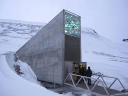 Barley Seeds Preserved In Svalbard Global Seed Vault Seed Vault Seed Bank Seeds