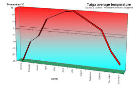 The Taiga Biome Home