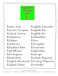 Wonderweirded Dictionary Of Flower Beginning With E Flower Names Common Plant Names Beginning With Lett Flower Names Flower Printable Types Of White Flowers