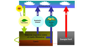carbon cycle: sources of co 2 emissions