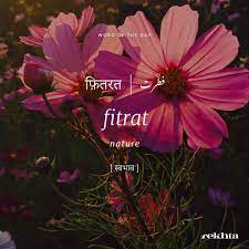 Word Of The Day Urdupoetrylovers Urdupoetry Urdu Urdurekhta Shayari Shayar Rekhta Imagepoetry In Hindi Words Urdu Words With Meaning Urdu Love Words