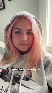 Amybird