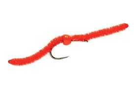 Embrace The Worm Worms Fly Tying Fly Fishing