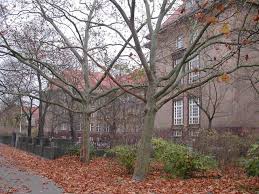 Ghs Gerhart Hauptmann Schule Gymnasium About Facebook