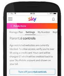The same apps on the same network work in my partner's moto g6 play, android 9 (a similar phone but kernel, build and security update versions different ) these apps work on my phone if i use my partner's phone as a hot spot rather than my home wifi. Parental Controls On Sky Mobile Sky Help Sky Com