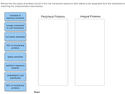 We did not find results for: Review The Two Types Of Proteins Found In The Cell Chegg Com
