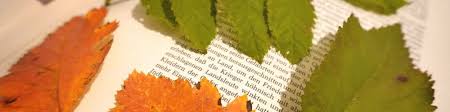 Herbarium specimen label linked from. Herbarium Gestalten Vorlage Anleitung Kinder Diy Trends