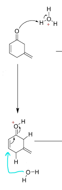Nucleophilic Substitution | Sl Ib Chemistry Revision Notes 2025 | Save My  Exams