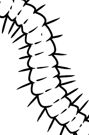 Coloriage De Mille Pattes En Ligne Ou Imprimer