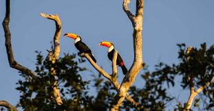 Gi water sec 1 @ lorong halus. 4 Nature Routes To Explore Around Singapore During The Weekend