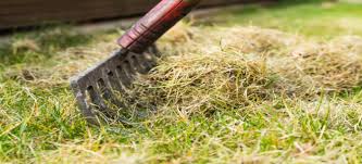 Use a specialized thatch rake, not a leaf or garden rake. How To Dethatch Your Lawn In The Spring Doityourself Com