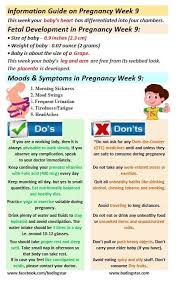 Pin On Pregnancy Week By Week