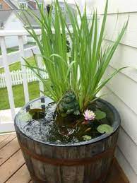 Whiskey Barrel Pond Backyard Water Feature Barrel Pond Whiskey Barrel Pond
