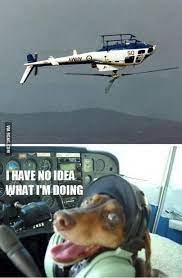 I Don T Know What I Am Doing 9gag