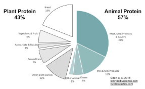 perfecting protein intake in athletes how much what and when