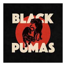Black Pumas Black Pumas Vinyl In 2020 Black Puma Pumas Vinyl Artist